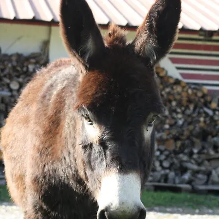 Ecurie Le Pas Du Loup *